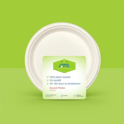 6" Round Plate